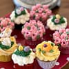 Easter Cupcake Selection galway cakery