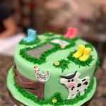 Novelty birthday cake galway cakery