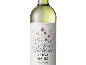 Spanish White Wine Albariño