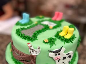 Novelty birthday cake galway cakery
