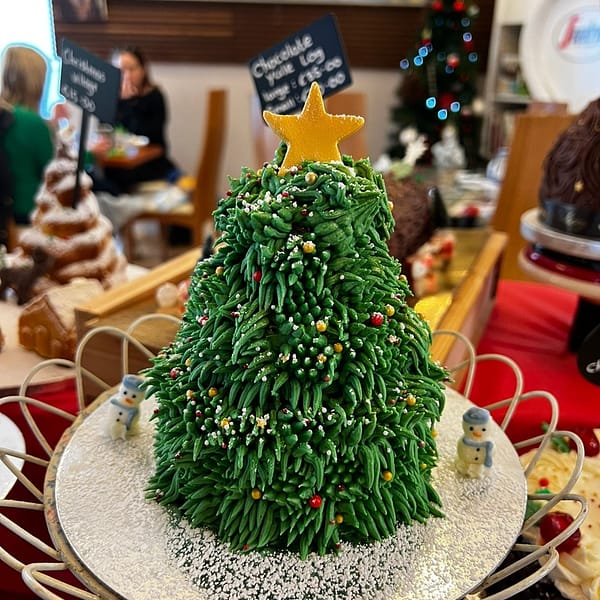 Xmas Tress Cake Galway