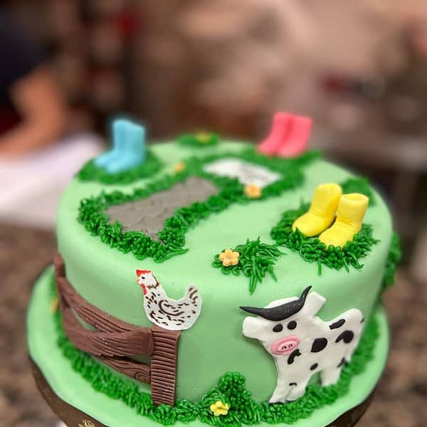 Novelty birthday cake galway cakery