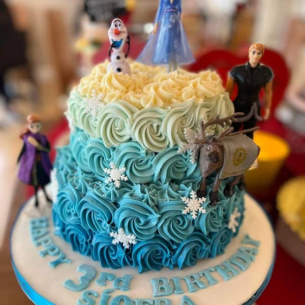 frozen themed birthday cake galway delivery