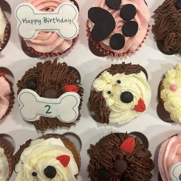 doggie themed Birthday cupcakes galway