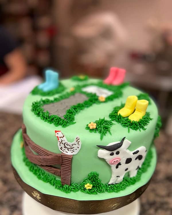 Novelty birthday cake galway cakery
