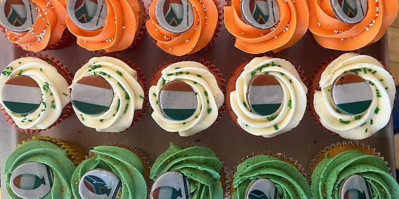 rugby themed cupcakes galway