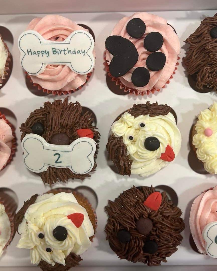 Custom Cupcakes Delicious Cupcakes for all Occasions Galway Cakery